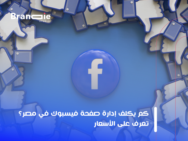 تكلفة إدارة صفحات فيسبوك في مصر