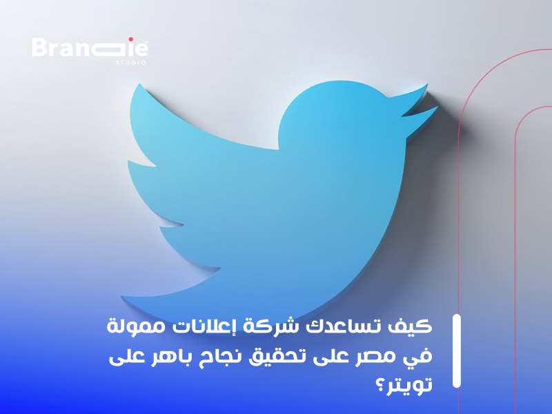 شركة إعلانات ممولة فى مصر