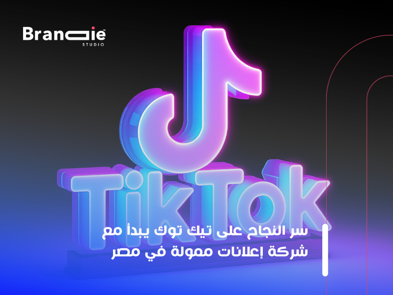 شركة إعلانات ممولة فى مصر