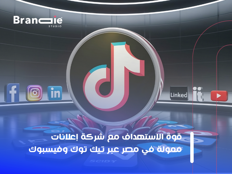 شركة إعلانات ممولة فى مصر