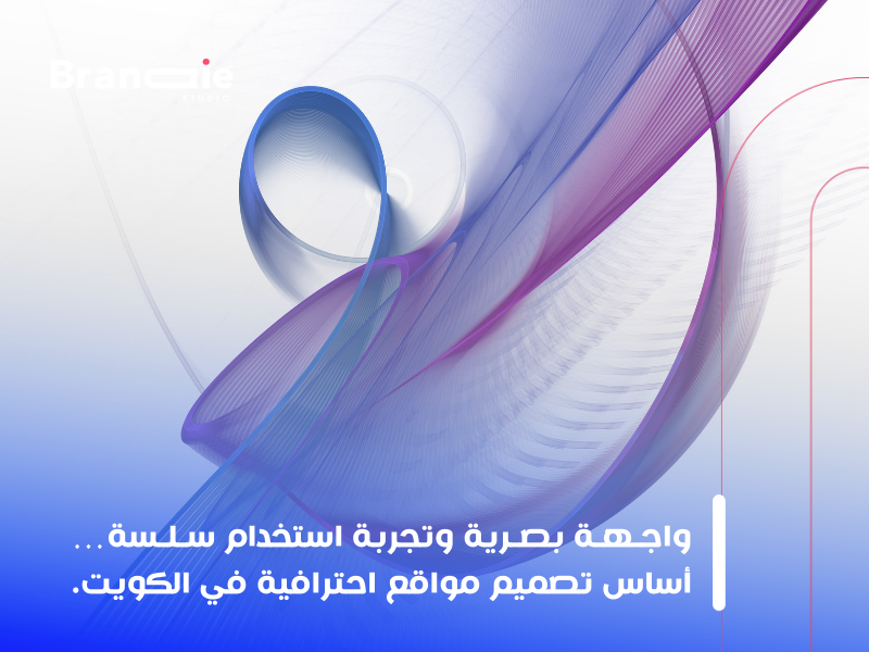 تصميم مواقع احترافية في الكويت