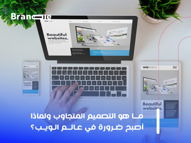 تصميم مواقع احترافية في الكويت