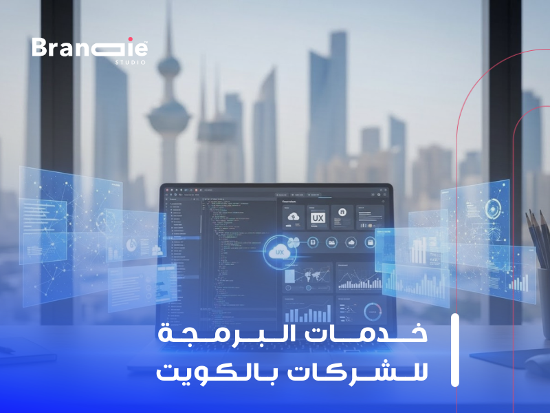 شركة برمجة الكويت