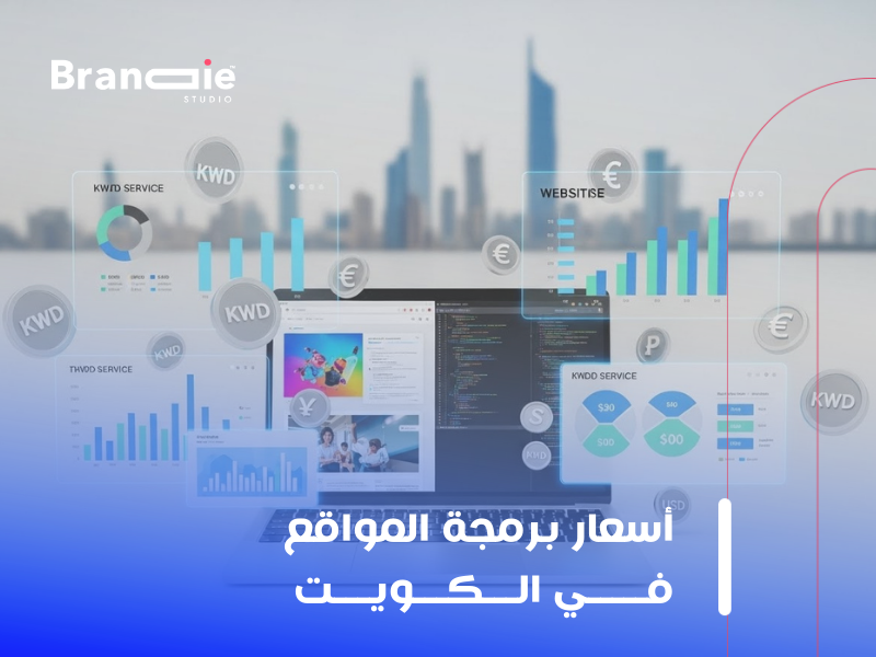 شركة برمجة الكويت