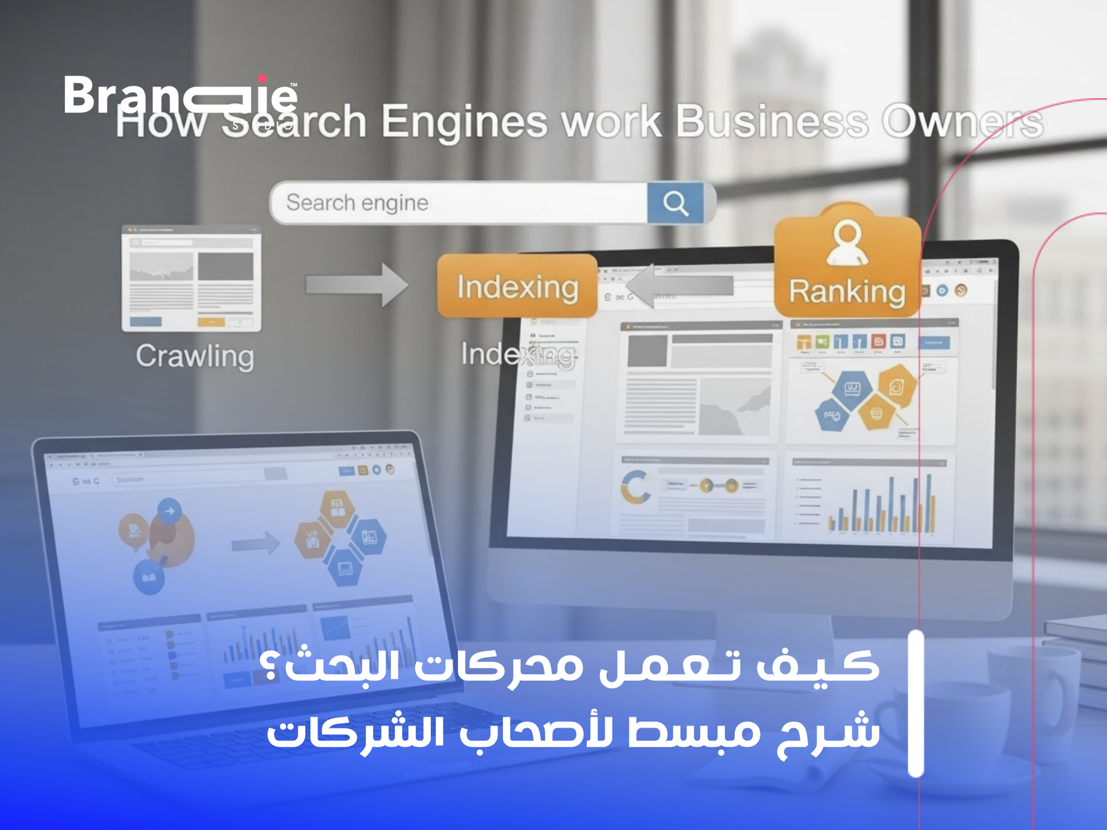 شركة سيو في الكويت