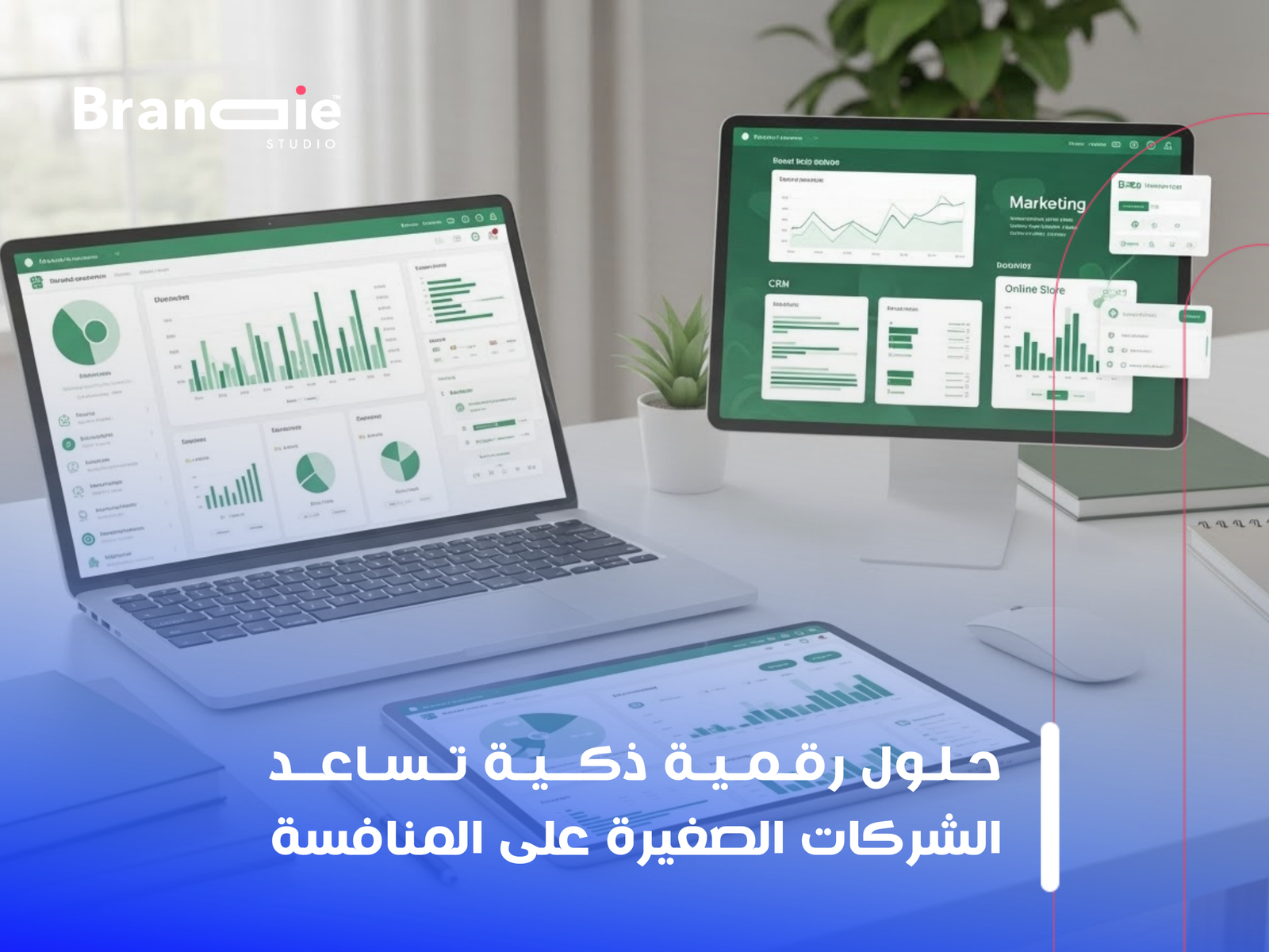 تصميم موقع لشركات صغيرة بالكويت