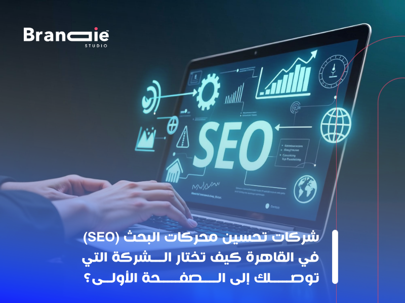 تكلفة SEO في مصر