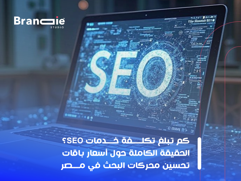 تكلفة SEO في مصر
