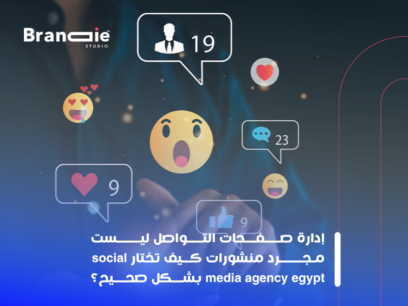 شركة سوشيال ميديا في مصر
