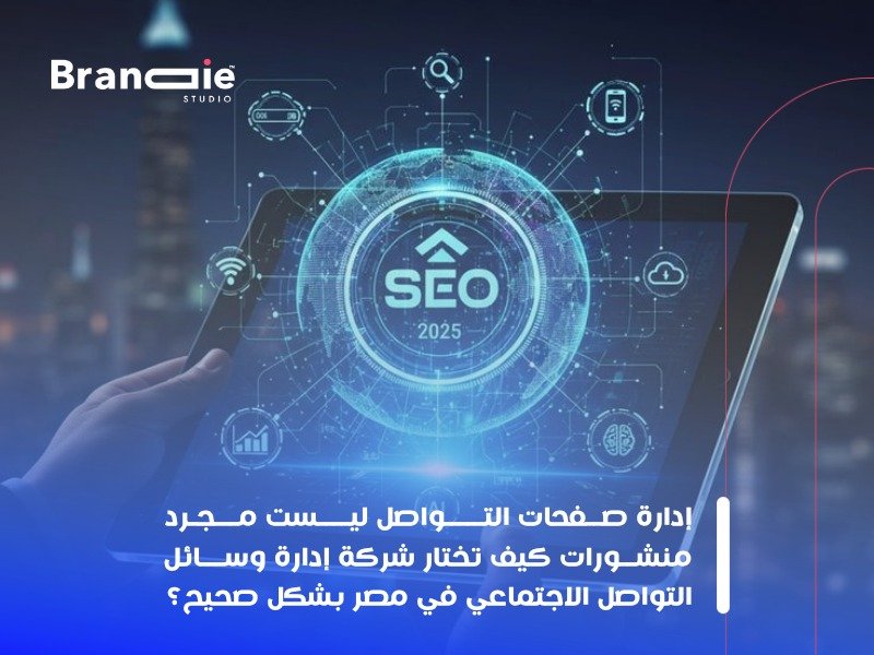 شركة SEO في القاهرة